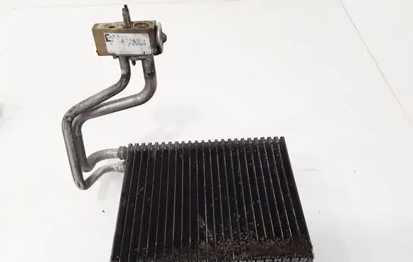 Citroen C5 Air conditioning (A/C) radiator (interior) 