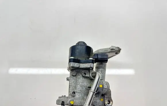EGR valve