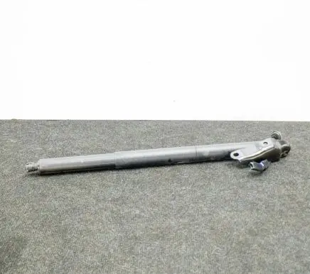 Tailgate/trunk strut/damper