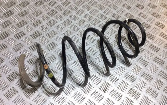 Front coil spring