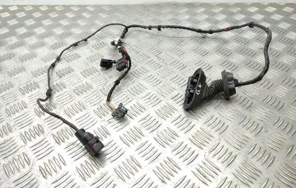 Seat Exeo (3R) Rear door wiring loom 3R0971687