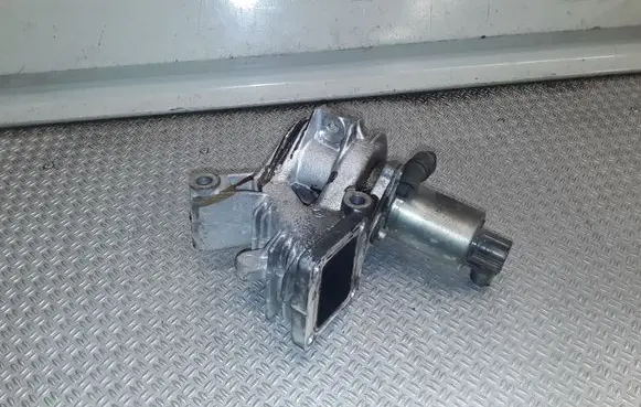 Renault Scenic II - Grand scenic II EGR valve 70007504