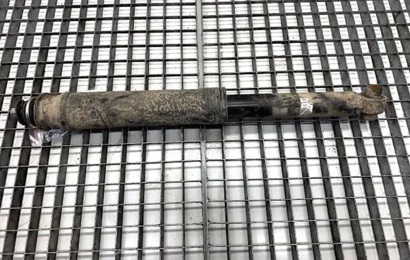 Lexus CT 200H Rear shock absorber/damper 4853076050