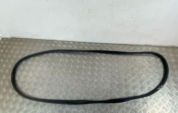 Nissan Ariya Rear door rubber seal (on body)