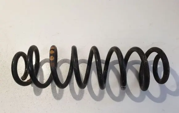Rear coil spring
