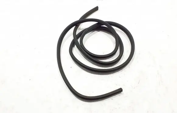 Opel Vivaro Front door rubber seal 808320619R