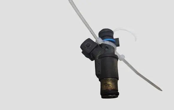Citroen C3 Fuel injector 01F002A 24531
