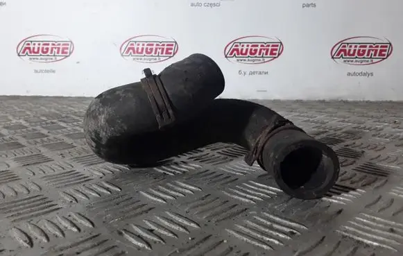 Volkswagen PASSAT B5.5 Engine coolant pipe/hose