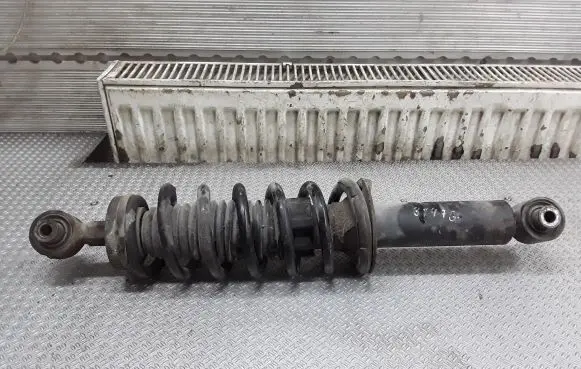 Peugeot 407 Rear shock absorber with coil spring 