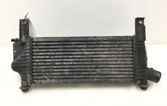 Nissan Pathfinder R51 Intercooler radiator 14461EB360