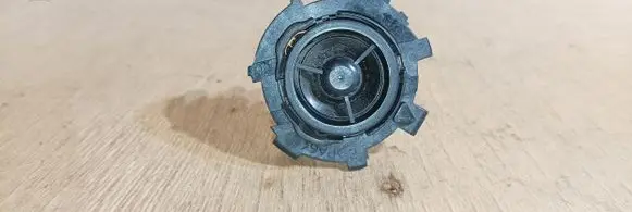 Front door high frequency speaker
