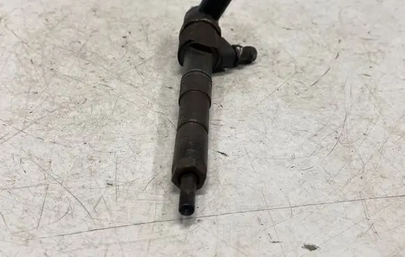 Opel Insignia A Fuel injector 0445110316