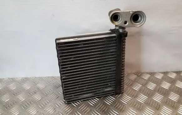 Ford Focus Air conditioning (A/C) radiator (interior) 