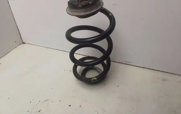 Rear coil spring