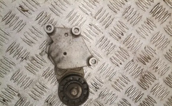 Citroen C2 Generator/alternator belt tensioner