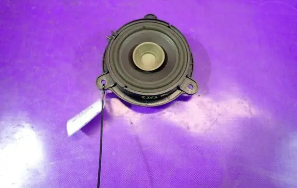 Renault Fluence Front door speaker
