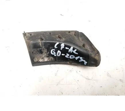 Rear/tail light trim molding