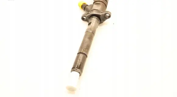 Citroen C4 I Picasso Fuel injector 0445110259