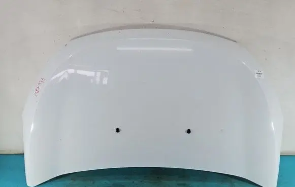 Engine bonnet/hood