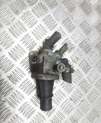 Thermostat/thermostat housing