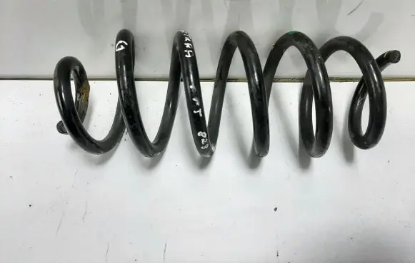 Rear coil spring
