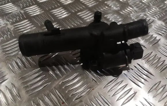 Thermostat/thermostat housing