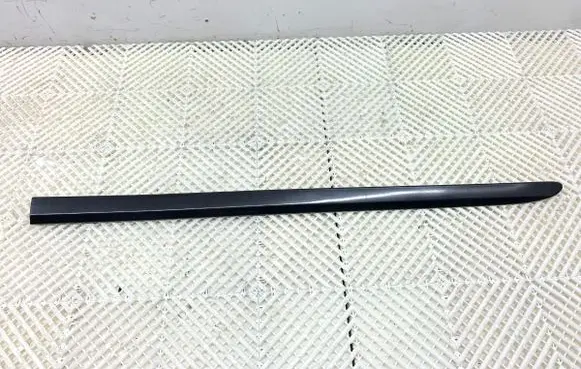Mercedes-Benz R W251 Front door trim (molding) A2516904362