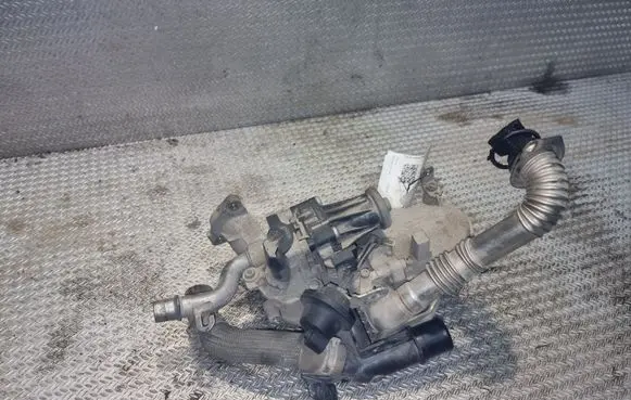 Citroen Berlingo EGR valve 5056390300