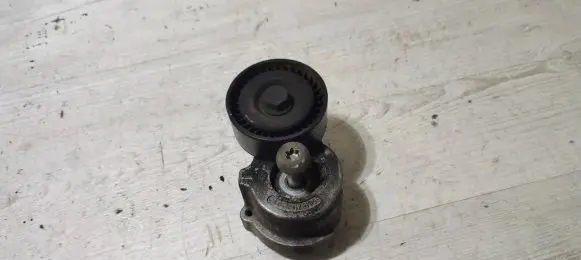 Jeep Cherokee Timing belt/chain tensioner 55215811