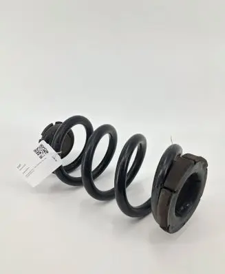 Rear coil spring