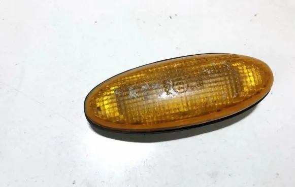 Front fender indicator light