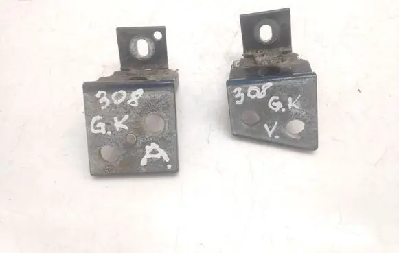 Citroen Xsara Picasso Rear door hinge set 