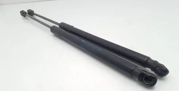 Renault Clio III Tailgate/trunk strut/damper 8200583852