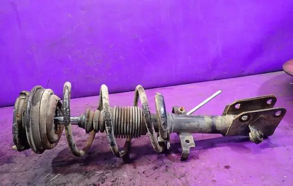 Renault Laguna II Front shock absorber with coil spring 