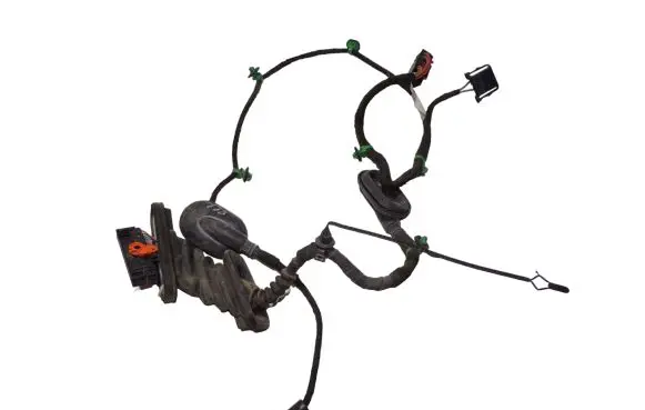 Front door wiring loom