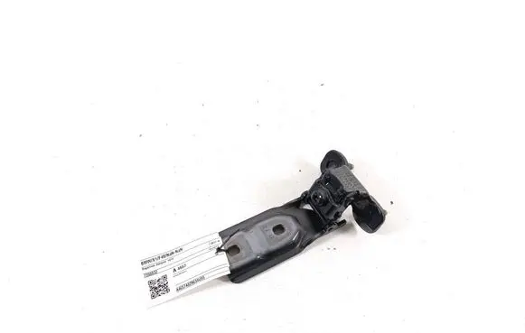 Tailgate/trunk/boot hinge