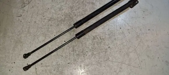 Renault Scenic III - Grand scenic III Tailgate/trunk strut/damper 904500004R
