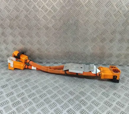 Fisker Ocean Other wiring loom FM2915850220B