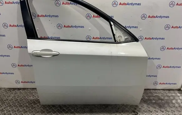 BMW X6 E71 Front door 7198160 41517198160