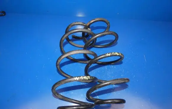 Rear coil spring