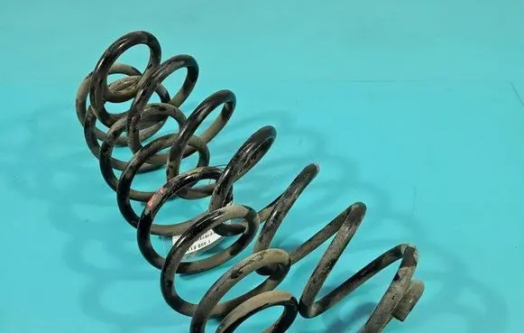 Rear coil spring