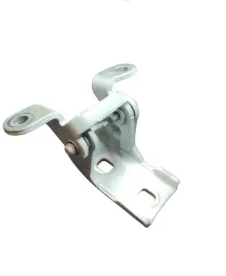 Rear door lower hinge