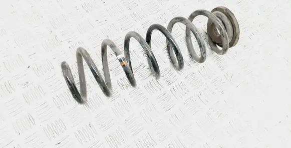 Skoda Octavia Mk2 (1Z) Rear coil spring