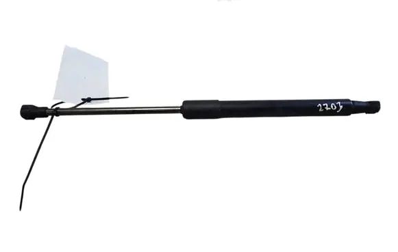 Tailgate/trunk strut/damper