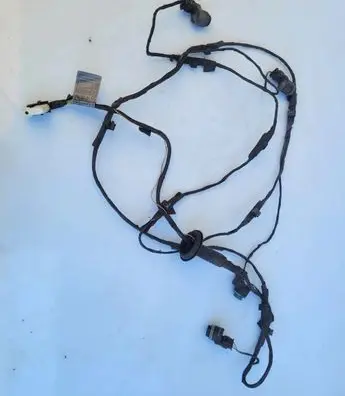BMW X5 E70 Other wiring loom 8039828