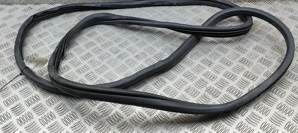 Citroen Jumper Rubber seal front coupe door 1693392480