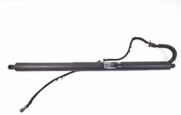 BMW X3 F25 Tailgate strut 7287805