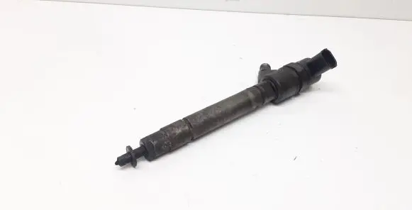Volvo V70 Fuel injector 0445110298 30777526