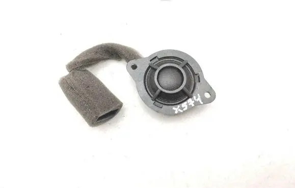 Front door high frequency speaker