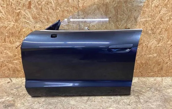 Porsche Taycan 9J1 Front door 9J1831051AYGRV
